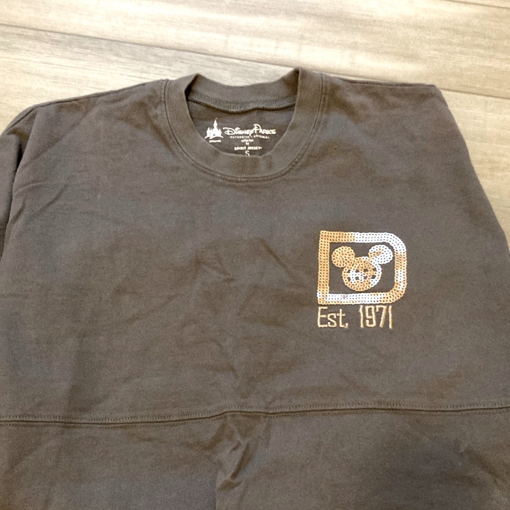 Disney spirit jersey.